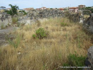 ammena-24-05-2014 20-53-29